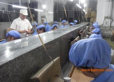 專業(yè)玩具加工與塑膠配件生產(chǎn) 技術(shù)、價格與咨詢服務(wù)全解析